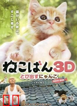 小猫跳出来3D