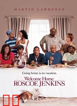 欢迎回家，罗斯科·杰金斯