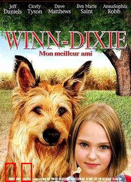 都是戴茜惹的祸