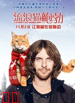 流浪猫鲍勃