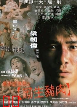 黑狱断肠歌之砌生猪肉