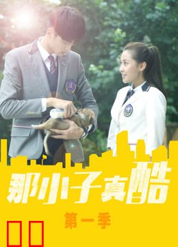 那小子真酷第一季