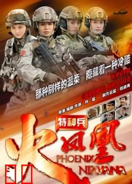 特种兵之火凤凰DVD版
