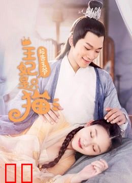 报告王爷，王妃是只猫第一季