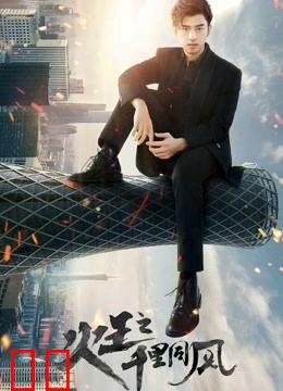 火王之千里同风DVD版