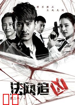 法网追凶第二季