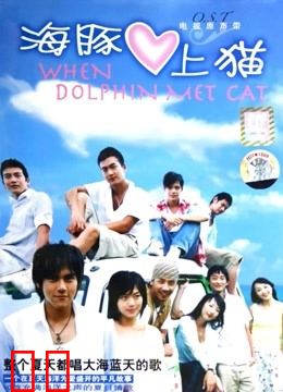 海豚爱上猫