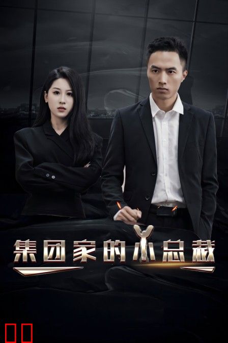 集团家的小总裁