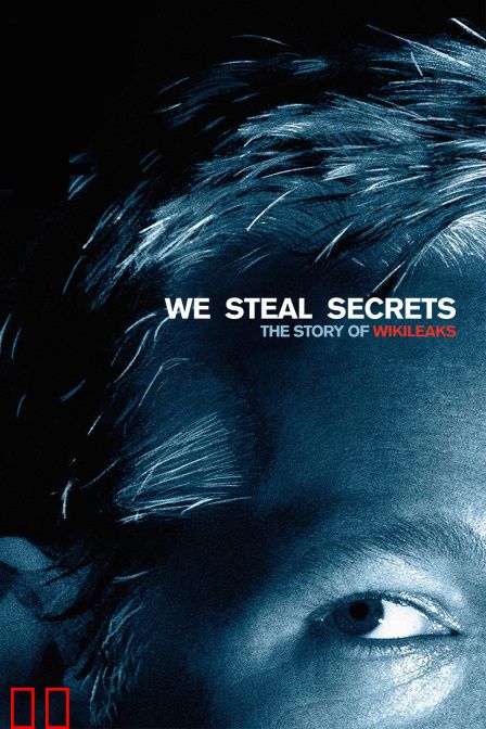 我们窃取秘密:维基解密的故事