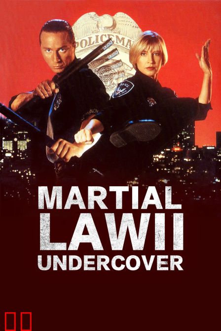 铁胆雄风2：卧底飞龙