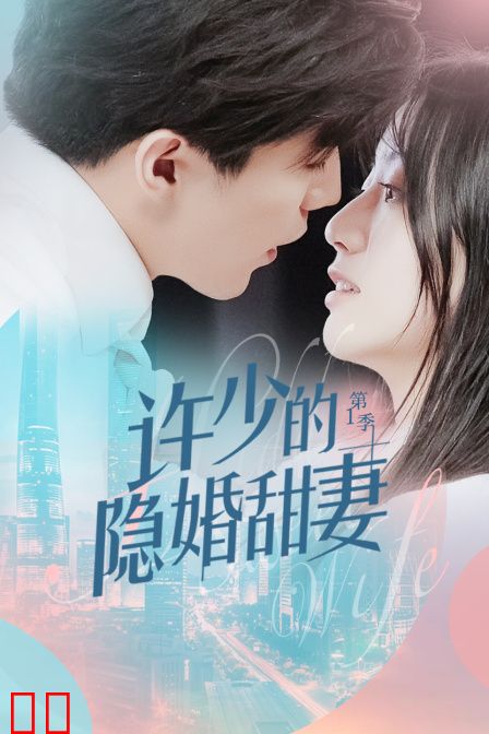 许少的隐婚甜妻 第一季