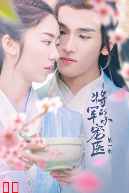 将军的小宠医 第一季