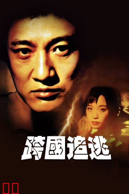 跨国追逃