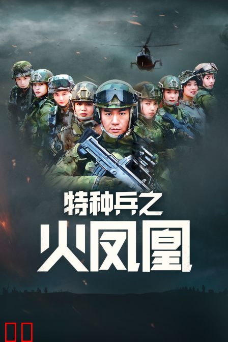 特种兵之火凤凰 DVD版