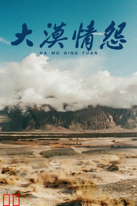 大漠情怨