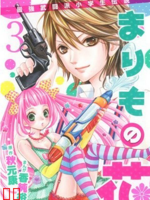 玛丽莫之花~最强武斗派小学生传说~