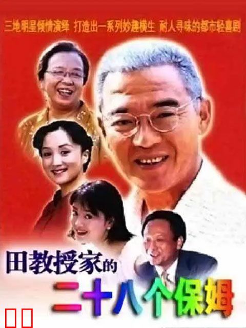 田教授家的28个保姆