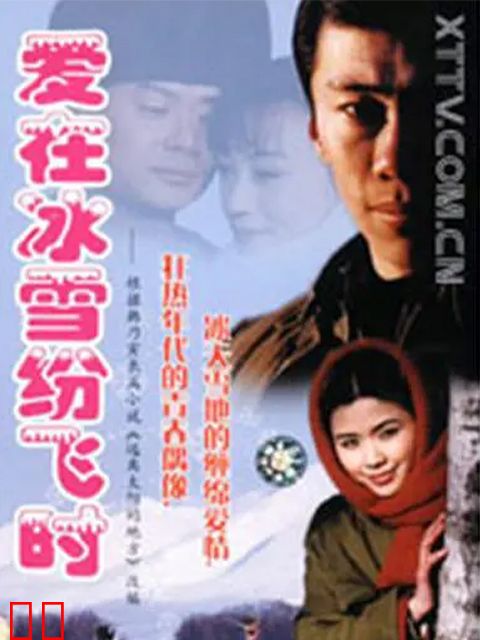 爱在冰雪纷飞时