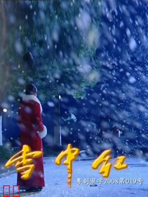 雪中红