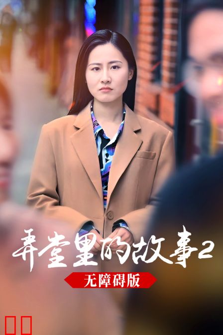 弄堂里的故事2无障碍版