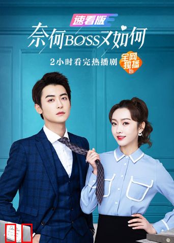 奈何BOSS又如何 速看版