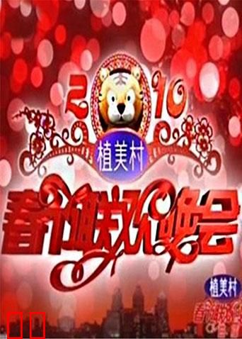 2010湖南卫视春节联欢晚会
