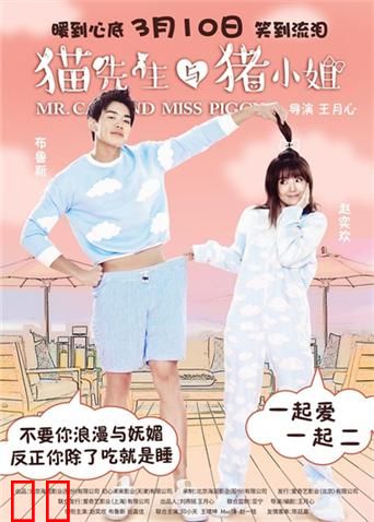 猫先生与猪小姐