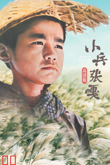 小兵张嘎 高清版
