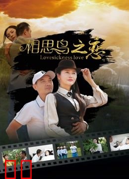 相思鸟之恋