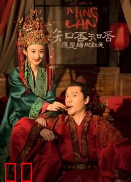 知否知否应是绿肥红瘦DVD版