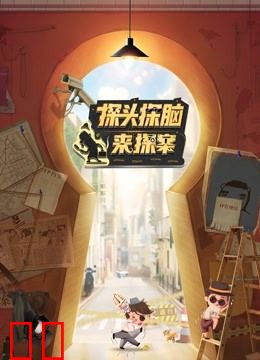 探头探脑来探案