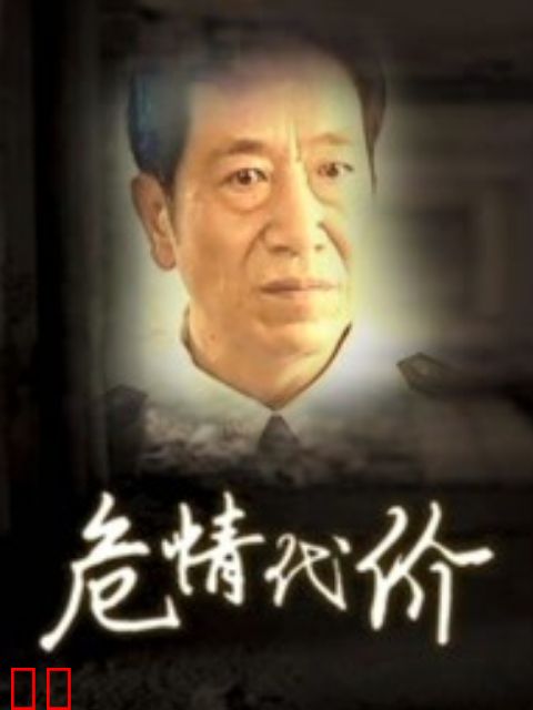危情代价