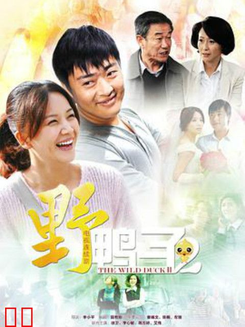 野鸭子第二部