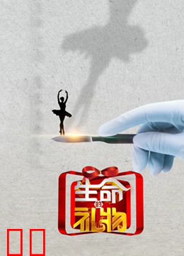 生命缘·生命的礼物第三季
