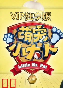 萌宠小大人VIP专享萌集
