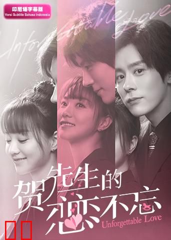 贺先生的恋恋不忘 印尼语字幕版