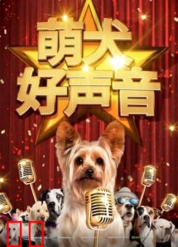 萌犬好声音
