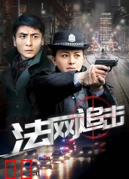法网追击