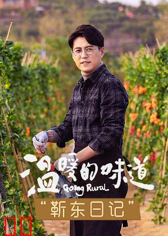 温暖的味道 靳东日记