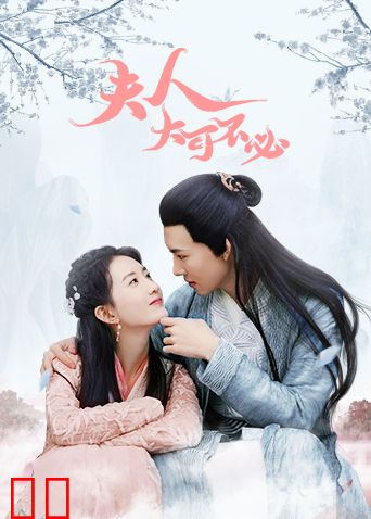 夫人，大可不必