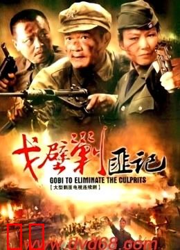 戈壁剿匪记