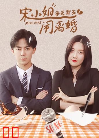 宋小姐每天都在闹离婚