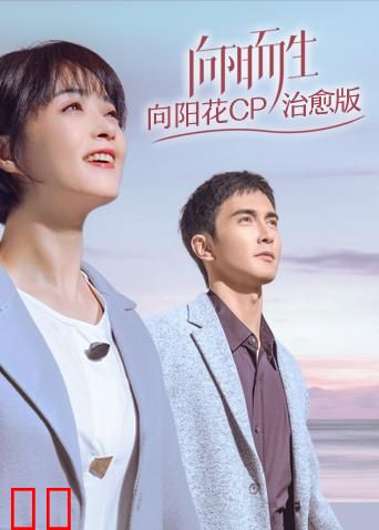 向阳而生 向阳花CP治愈版