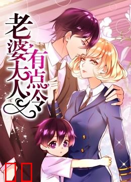 老婆大人有点冷 动态漫画