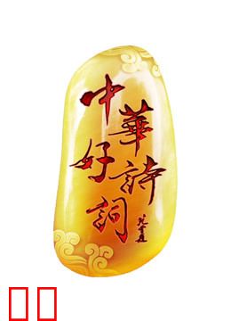 中华好诗词第5季