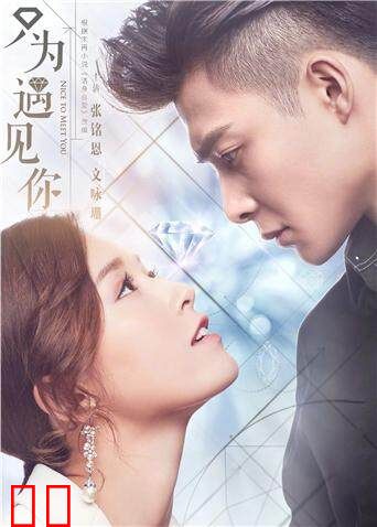 只为遇见你 DVD版