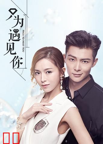 只为遇见你