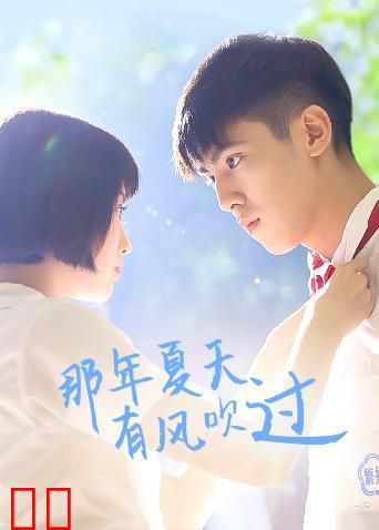 那年夏天有风吹过