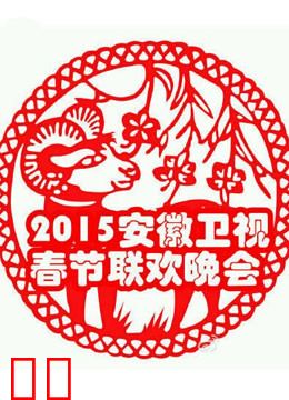 安徽卫视2015春晚