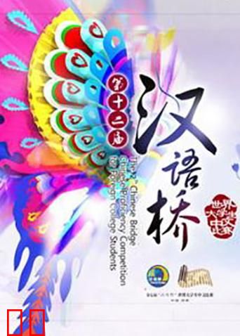 汉语桥 2013